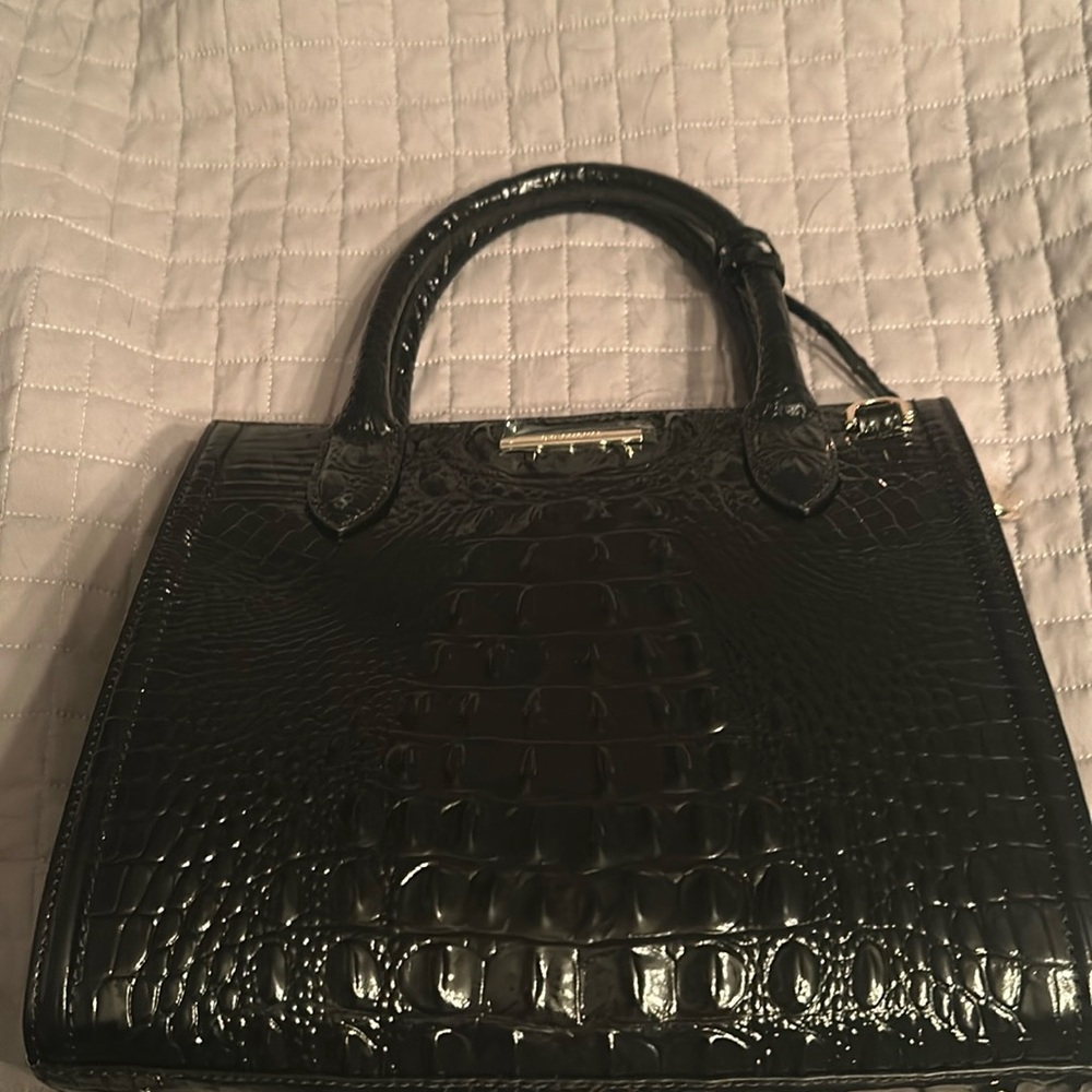 Brahmin pocketbook